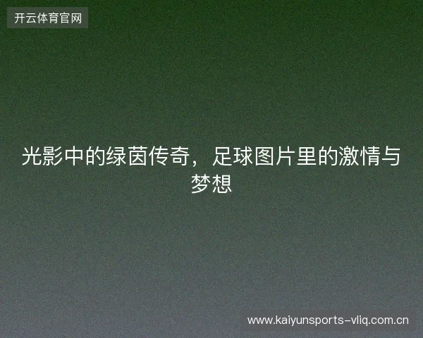 光影中的绿茵传奇，足球图片里的激情与梦想