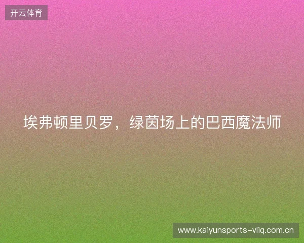 埃弗顿里贝罗，绿茵场上的巴西魔法师